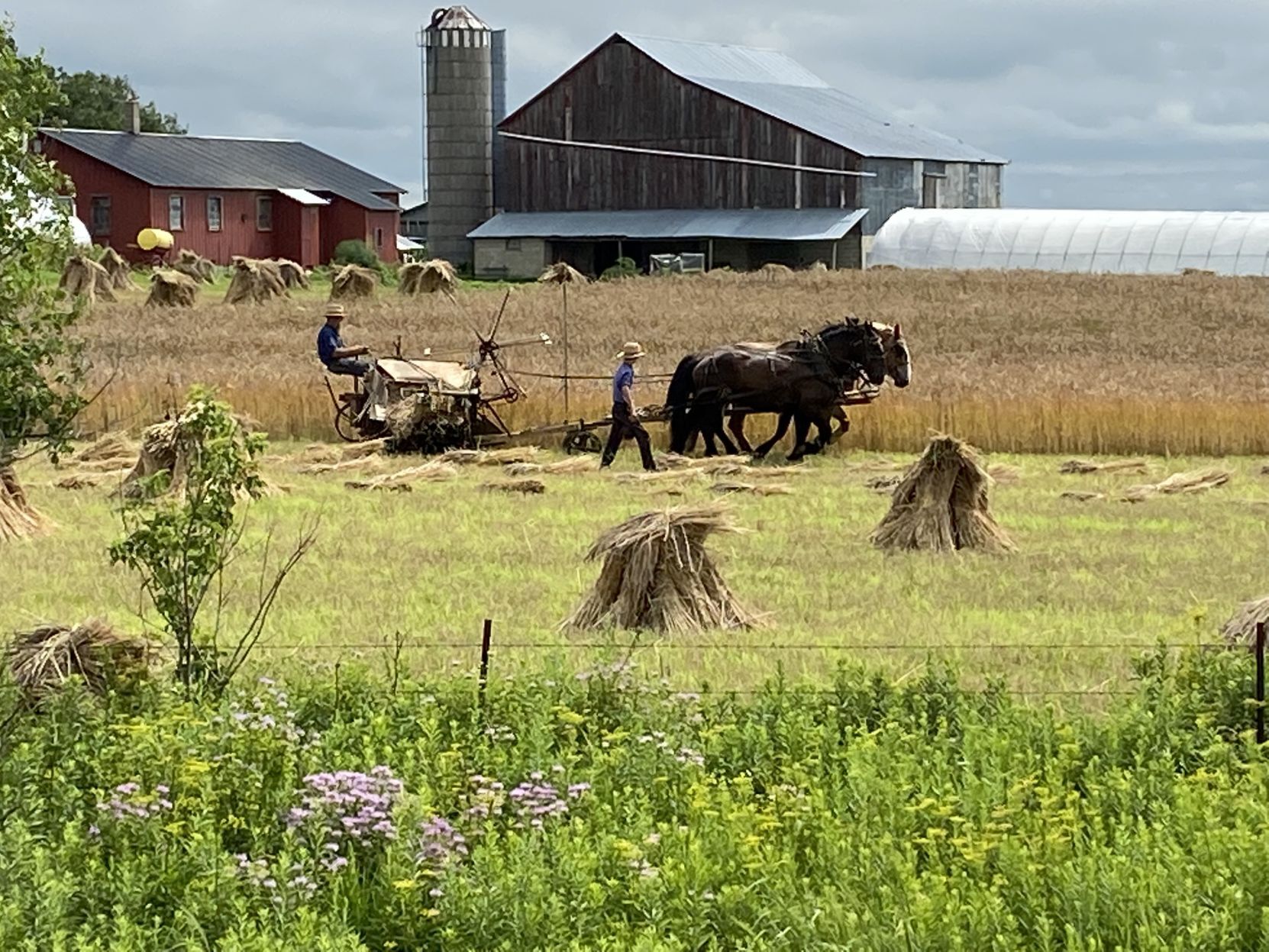Horsepower harmony